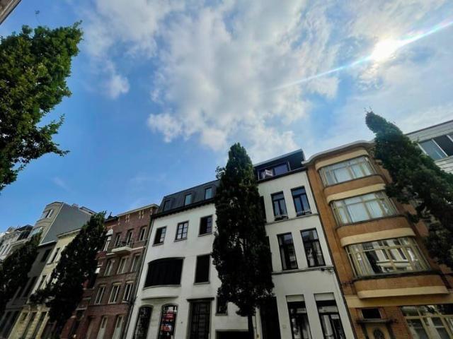 Kot location à Antwerpen
