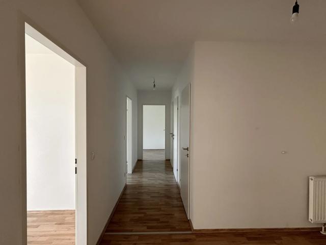 Apartment mieten in Wiener Neustadt