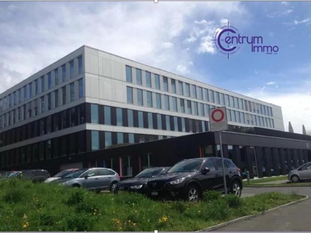 Wohnung kaufen in Crissier, Waadt