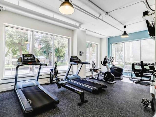 Apartment for rent in Dartmouth