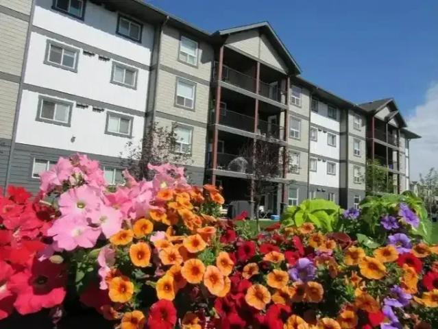 Apartment for rent in Airdrie, Alberta