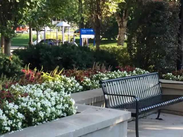 Apartment for rent in Burlington, Ontario