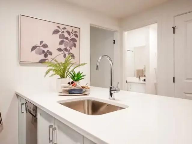 Apartment for rent in Black Bear Crossing, Rocky View County