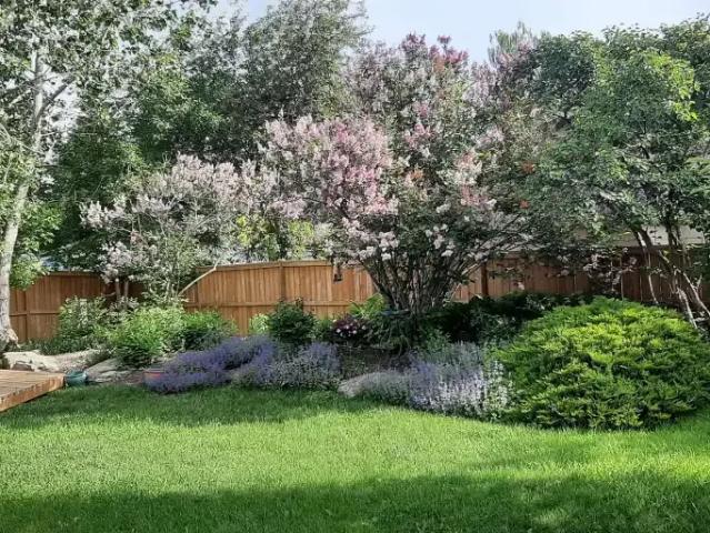 Apartment for rent in Northwest, Alberta