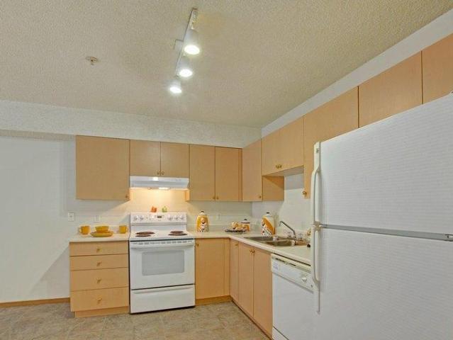 Apartment for rent in Camrose, Alberta