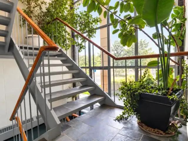 Apartment for rent in Westmount, Edmonton