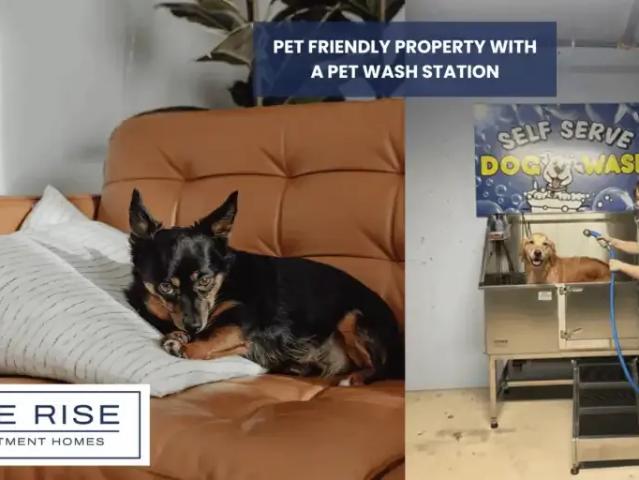 Apartment for rent in Winfield, British Columbia