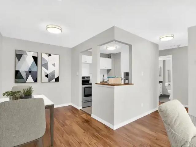 Apartment for rent in Kingston, Ontario