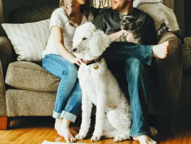 Apartment for rent in Kitchener, Ontario
