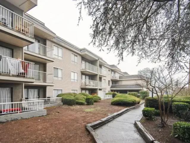 Apartment for rent in Brow of the Hill, New Westminster