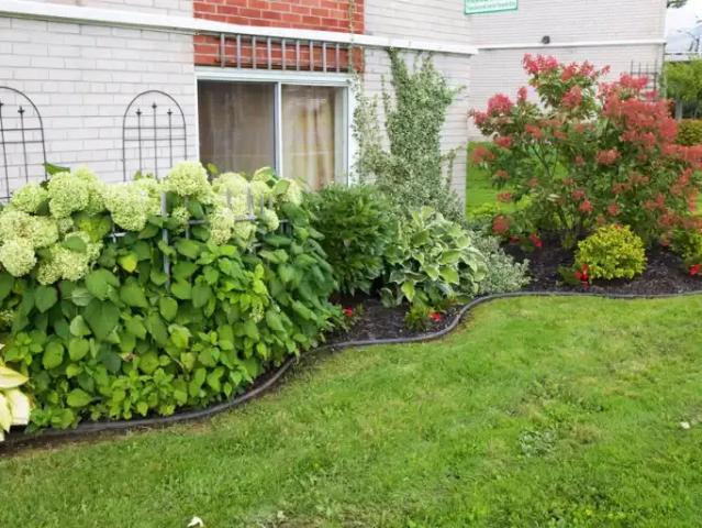 Apartment for rent in Sault Sainte Marie, Ontario