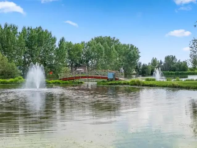 Apartment for rent in Alberta
