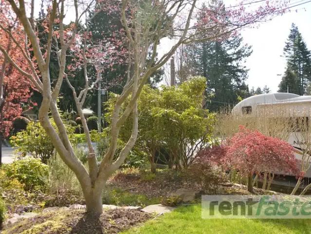 Apartment for rent in Surrey, British Columbia