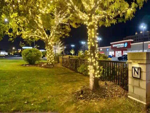 Apartment for rent in Woburn, Ontario
