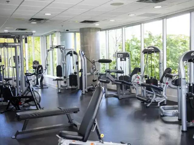 Apartment for rent in Vancouver, British Columbia