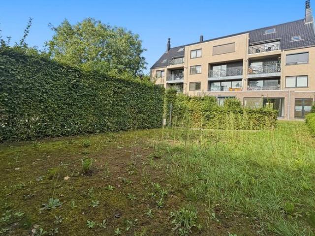 Appartement location à Halle, Brabant