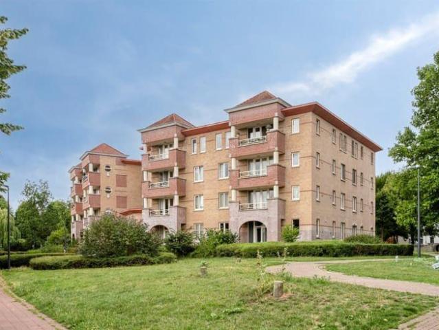 Kot location à Desteldonk, Oost-Vlaanderen