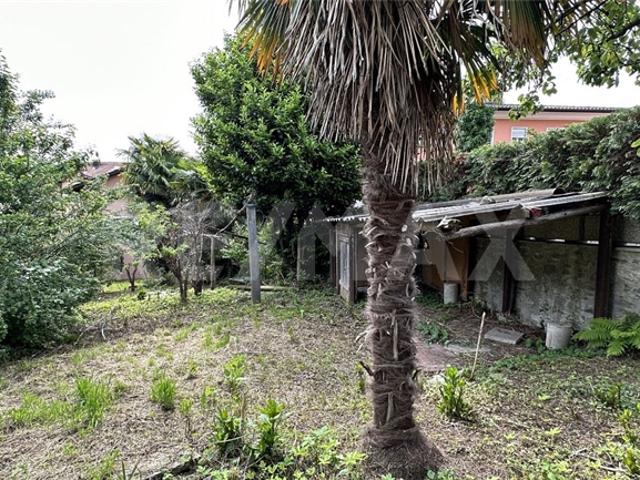 Wohnung kaufen in Minusio, Tessin