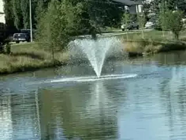 Apartment for rent in Airdrie, Alberta