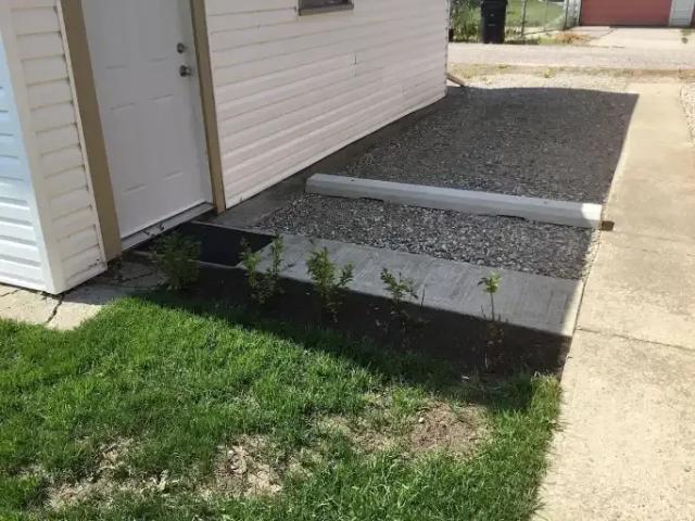 Apartment for rent in Renfrew, Calgary