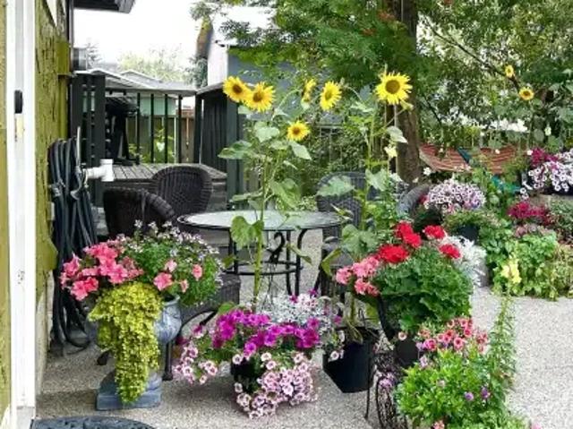 Apartment for rent in Northwest, Alberta