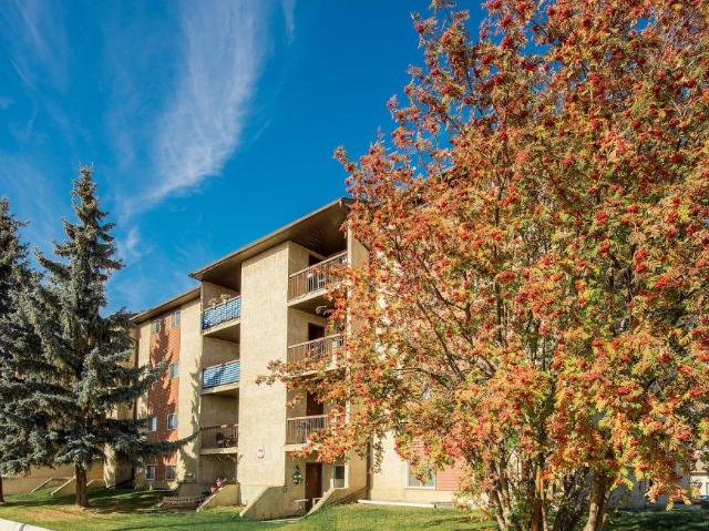 Apartment for rent in Stony Plain, Alberta