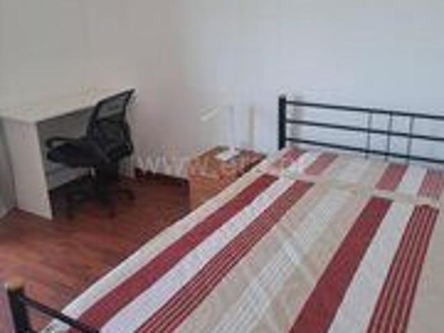 Apartamento alugar em Castelo Branco