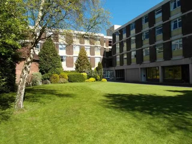 Apartment to rent