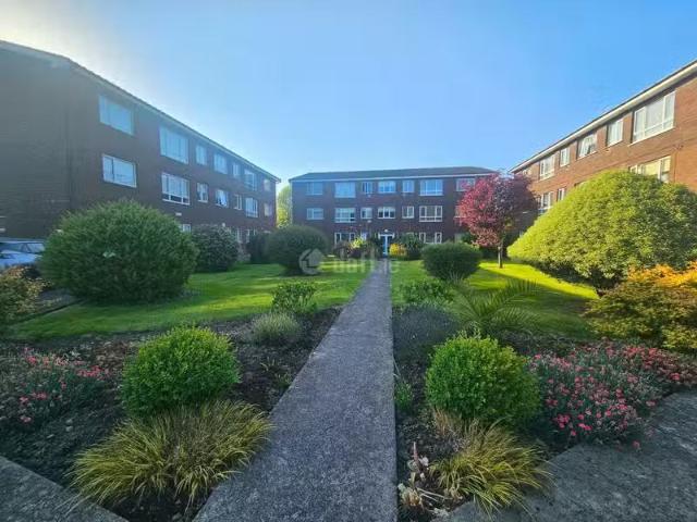 Apartment to rent
