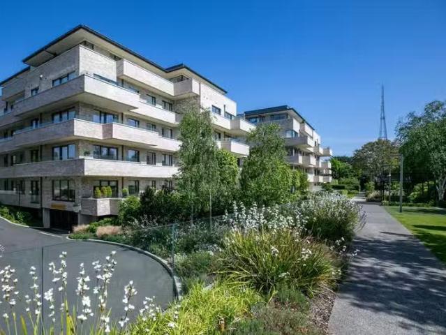 Apartment to rent