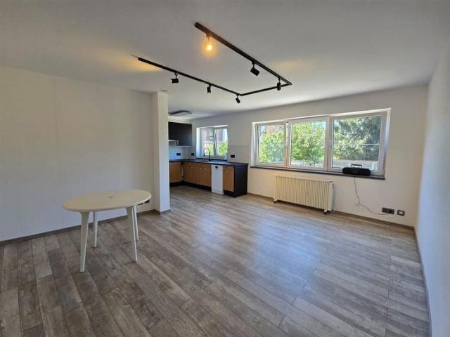 Kot location à Halle, Brabant