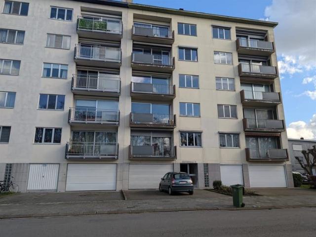 Kot location à Antwerpen