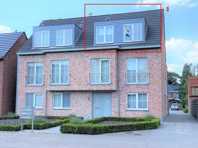 Kot location à Sint-Antonius, Zoersel