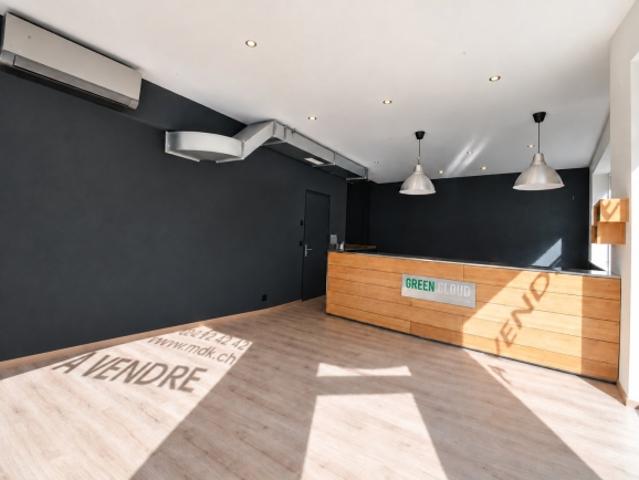Wohnung kaufen in Monthey