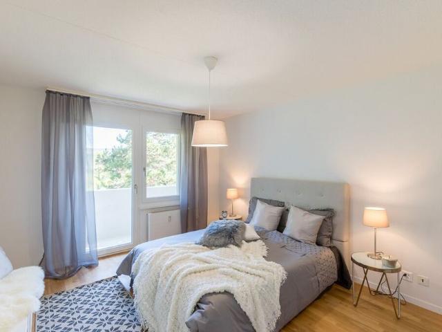 Apartment mieten in Brugg (AG), Aargau