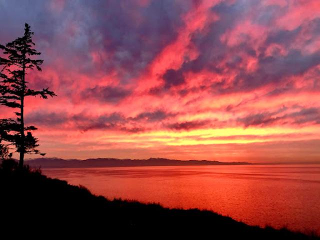 Apartment for sale in Oak Harbor, Washington