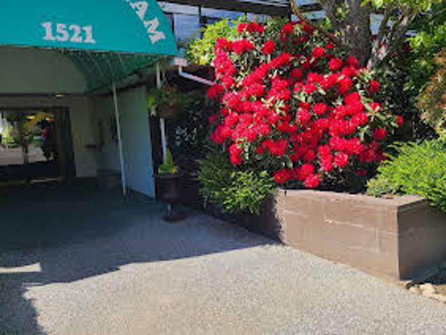 Apartment for sale in White Rock