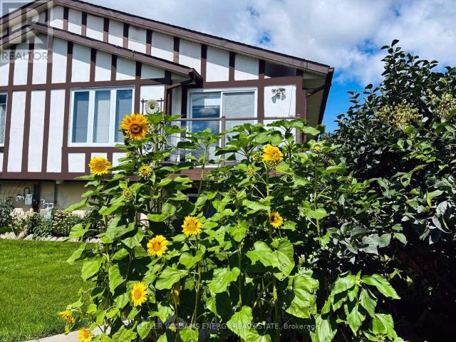 Apartment for rent in Ontario