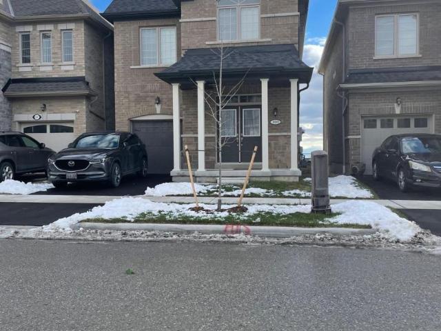House for rent in Durham, Ontario