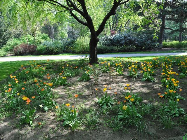 Apartment mieten in KG Oberlaa Stadt, Wien