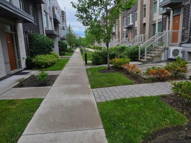 Apartment for rent in Woburn, Ontario
