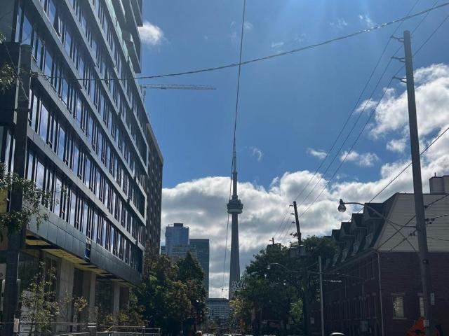 Apartment for rent in Spadina—Fort York, Toronto
