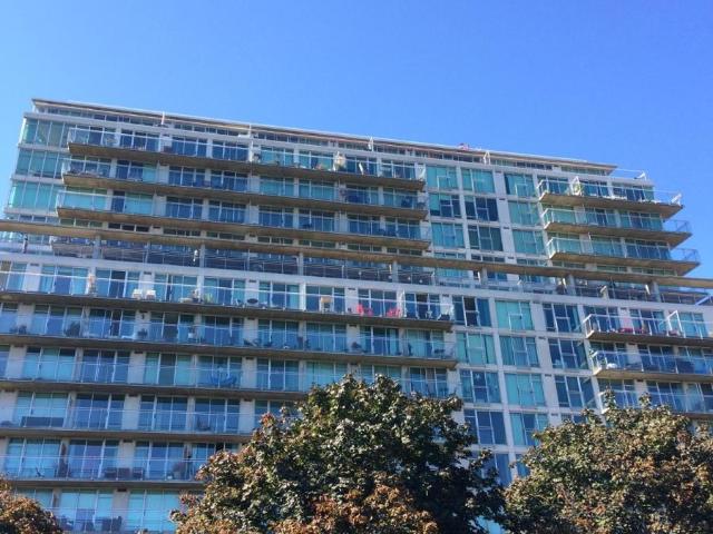 Apartment for rent in Spadina—Fort York, Toronto