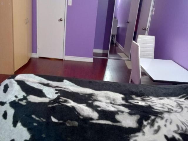 Apartment for rent in Manuels, Newfoundland And Labrador