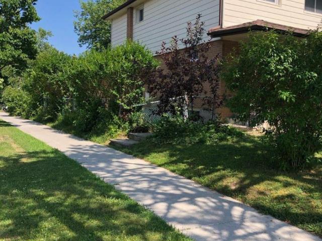 House for rent in Woburn, Ontario
