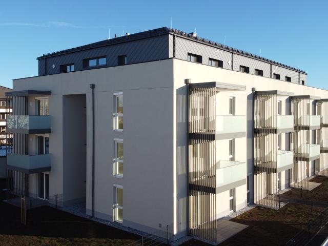 Apartment mieten in Gföhl, Alt Gföhl