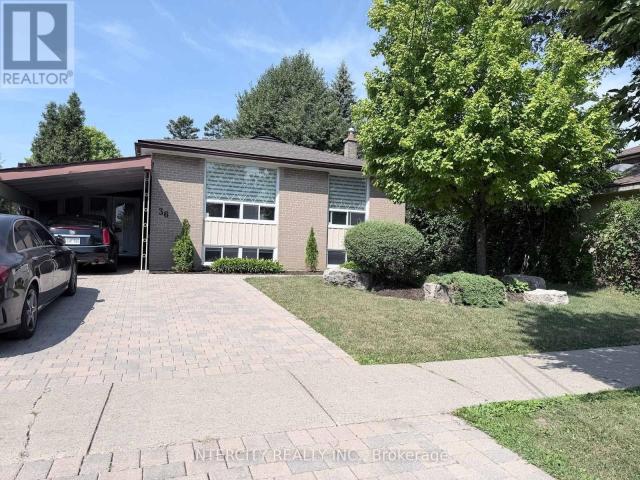 Apartment for rent in Humber River—Black Creek, Toronto