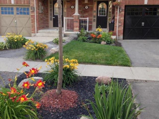 Apartment for rent in Durham, Ontario