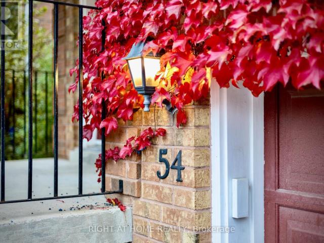 House for rent in York, Ontario