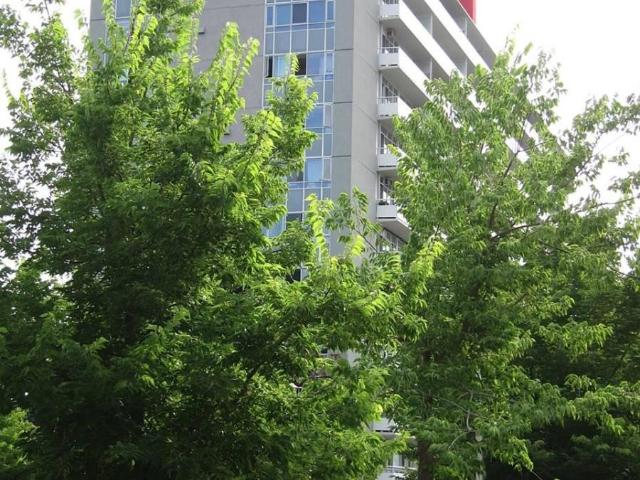Apartment for rent in Toronto—St. Paul's, Toronto